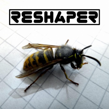 Reshaper (Redux) | Boomplay Music