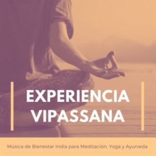 Experiencia Vipassana: Música de Bienestar India para Meditación, Yoga y Ayurveda