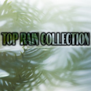 Top Rain Collection