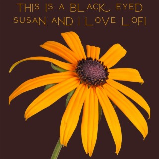 This Is a Black Eyed Susan and i Love Lofi