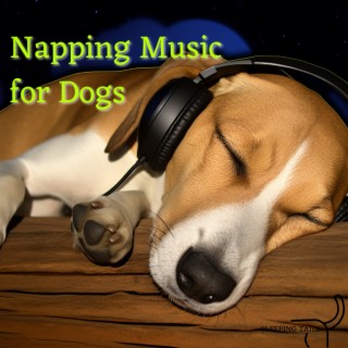 Napping Music for Dogs