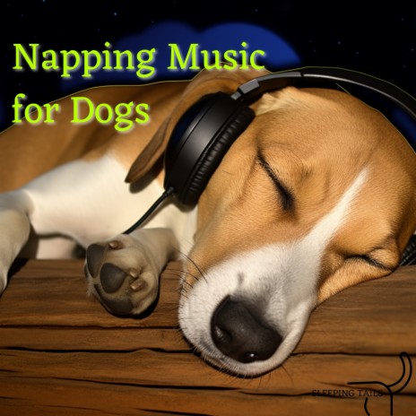 Pet Sound Therapy | Boomplay Music