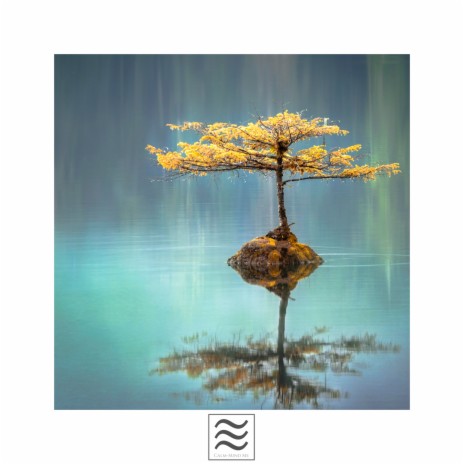 Soothing Easeful Sound of Calm Rain | Boomplay Music