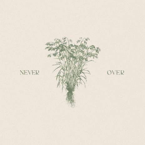 Never Over | Boomplay Music