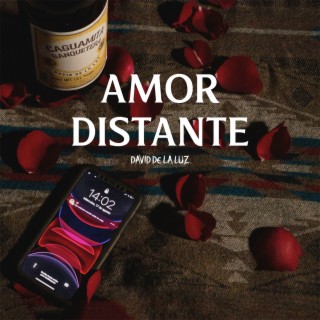 Amor distante