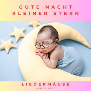 Gute Nacht kleiner Stern