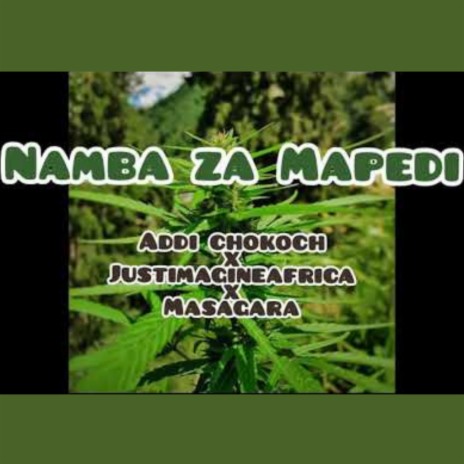 Namba Za Mapedi ft. Just Imagine Africa & Masagara | Boomplay Music