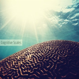 Cognitive Scales