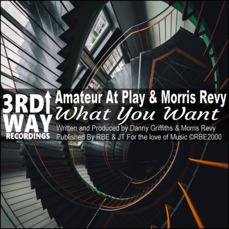 What You Want (Amateur's Ambivalent Dub) ft. Morris Revy | Boomplay Music