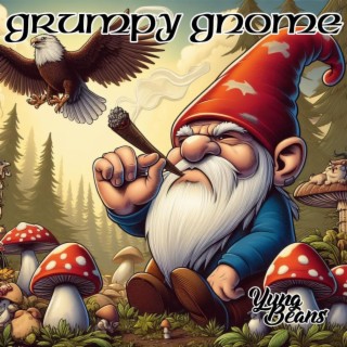 Grumpy Gnome lyrics | Boomplay Music
