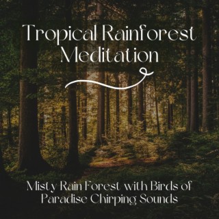 Tropical Rainforest Meditation: Misty Rain Forest with Birds of Paradise Chirping Sounds