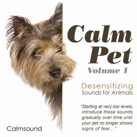 Dog Sounds - Calmsound MP3 download | Dog Sounds - Calmsound Lyrics |  Boomplay Music