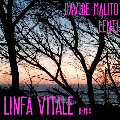 Linfa Vitale (Remix) | Boomplay Music
