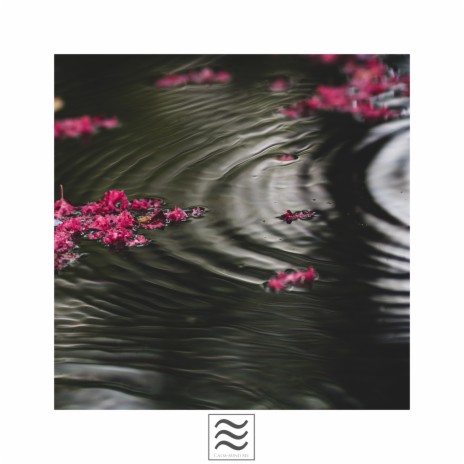 Calmful Still Rainfall | Boomplay Music