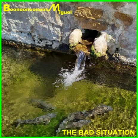 The Bad Situation | Boomplay Music