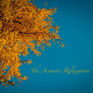 The Acoustic Relaxation