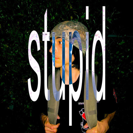 stupid | Boomplay Music