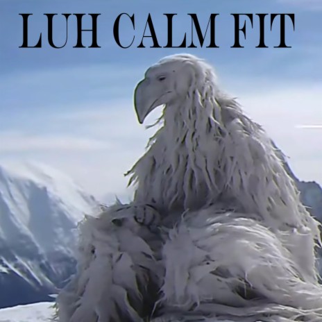 Luh Calm Fit | Boomplay Music