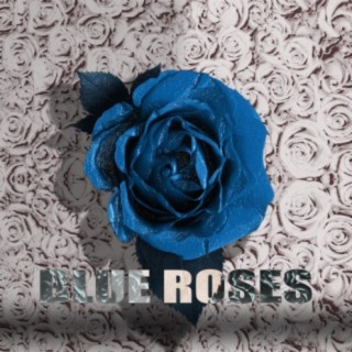 Blue Roses