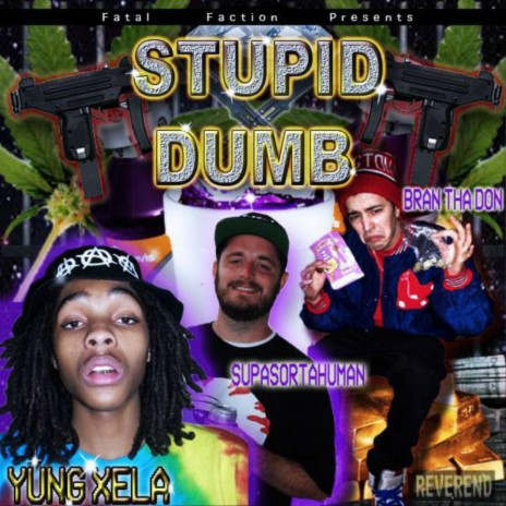 Stupid Dumb (feat. Bran Tha Don & SupaSortahuman) (Single)