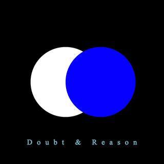 Doubt and Reason