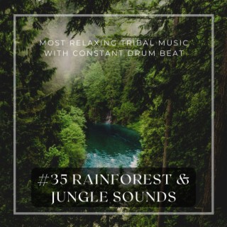 35 Rainforest & Jungle Sounds: Most Relaxing Tribal Music with Constant Drum Beat