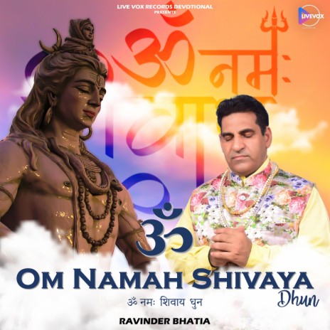 OM NAMAH SHIVAYA DHUN ft. RAVINDER BHATIA | Boomplay Music