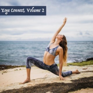 Yoga Connect, Vol. 2