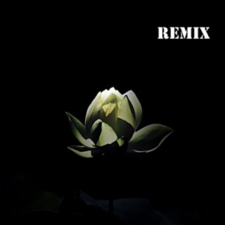 Tal Vez (Remix ES/NL)