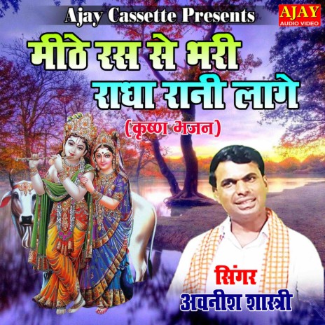 Mithe Rash Se Bhari Radha Rani Lage (Krashan Bhajan) | Boomplay Music