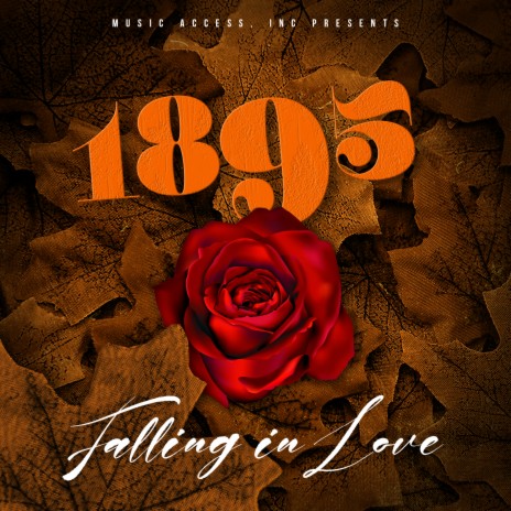 Never Knew Love Like This Before (1895 Jazz Remix) ft. Stephanie Mills | Boomplay Music