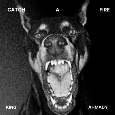 Catch A Fire (Slowed) ft. Ahmady | Boomplay Music