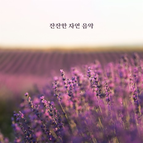 호흡 명상 | Boomplay Music