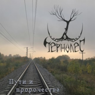 Чернолес