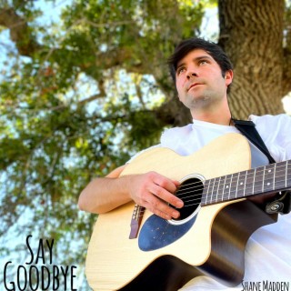 Say Goodbye lyrics | Boomplay Music