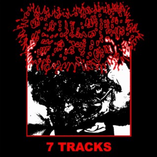 7 TRACKS