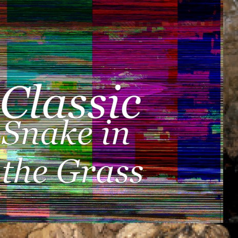 Snake in the Grass | Boomplay Music