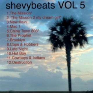 shevybeats, Vol. 5 (Instrumental)