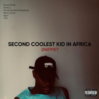 Second Coolest Kid In Africa Snippet lyrics | Boomplay Music