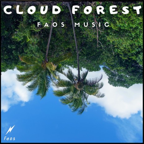 Cloud Forest | Boomplay Music