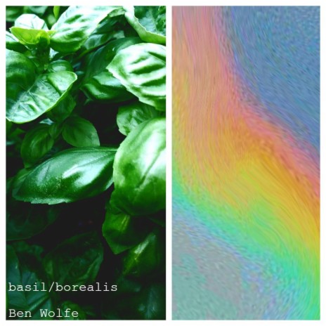 borealis | Boomplay Music
