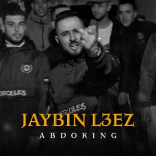 JAYBIN L3EZ