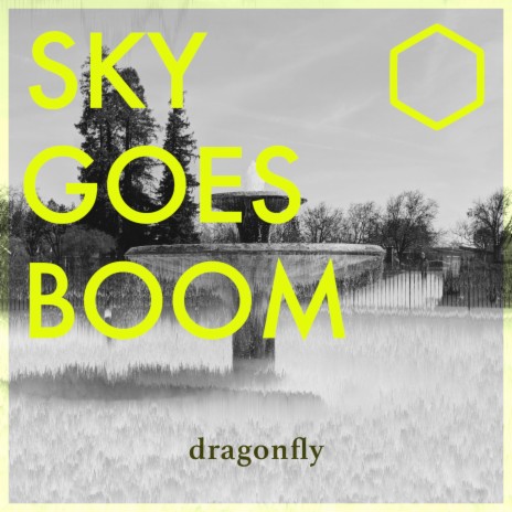 Dragonfly | Boomplay Music