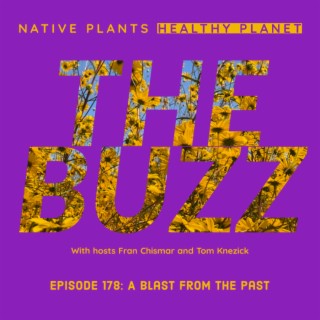 The Buzz - A Blast from the Past