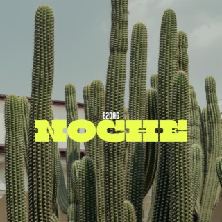 Noche