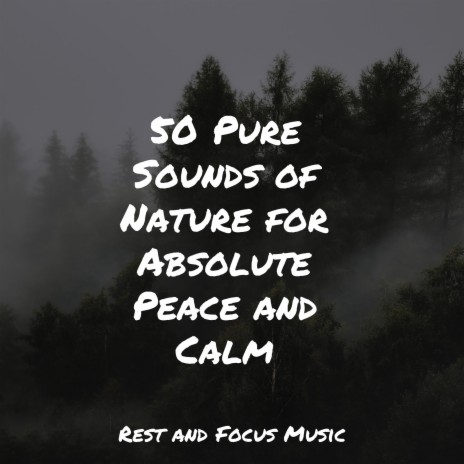 Peaceful Sounds | Boomplay Music