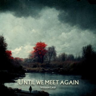 Until We Meet Again