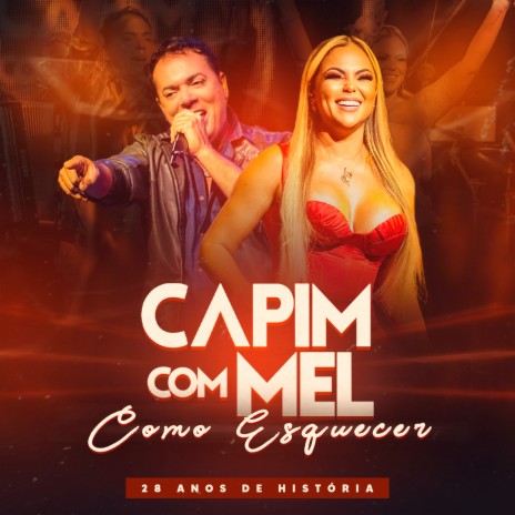 Todo Amor (Ao Vivo) ft. Vanessa Rios | Boomplay Music