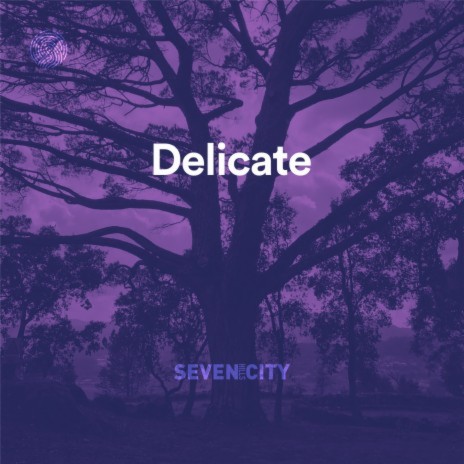 Delicate | Boomplay Music