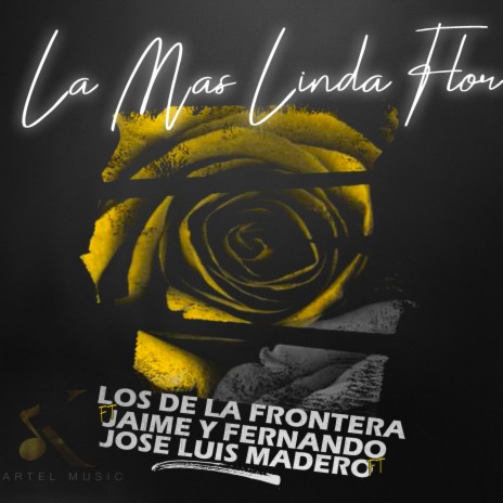 La Mas Linda Flor ft. Jaime y Fernando & Jose Luis Madero | Boomplay Music